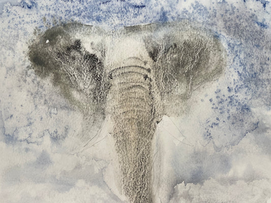 Elephant face opening study - wisdom and time