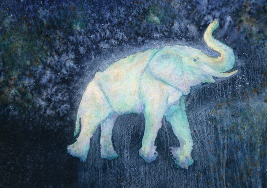 The Elephant in the Universe